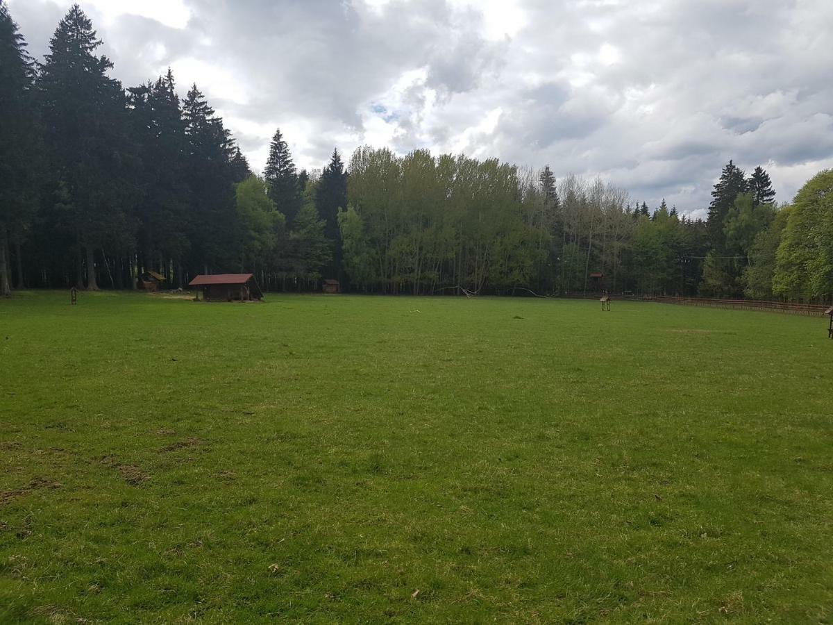 Pension Villa Berolina Mariańskie Łaźnie Zewnętrze zdjęcie